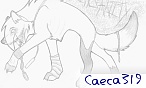 Caeca319