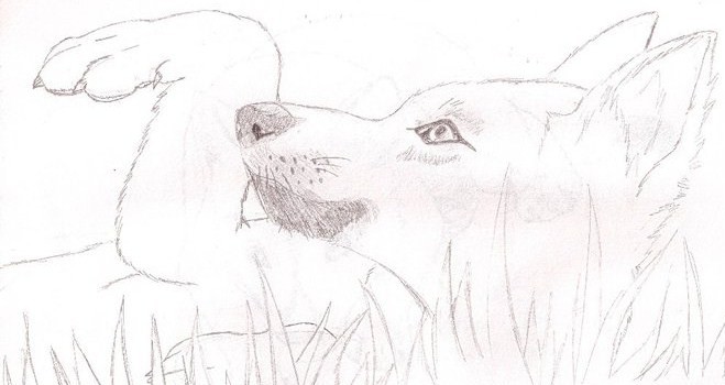 Realistic Balto In The Grass