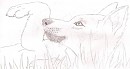 Realistic Balto In The Grass
