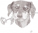 Puppy with a Rose
