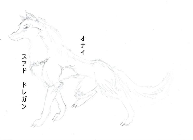 Onai better