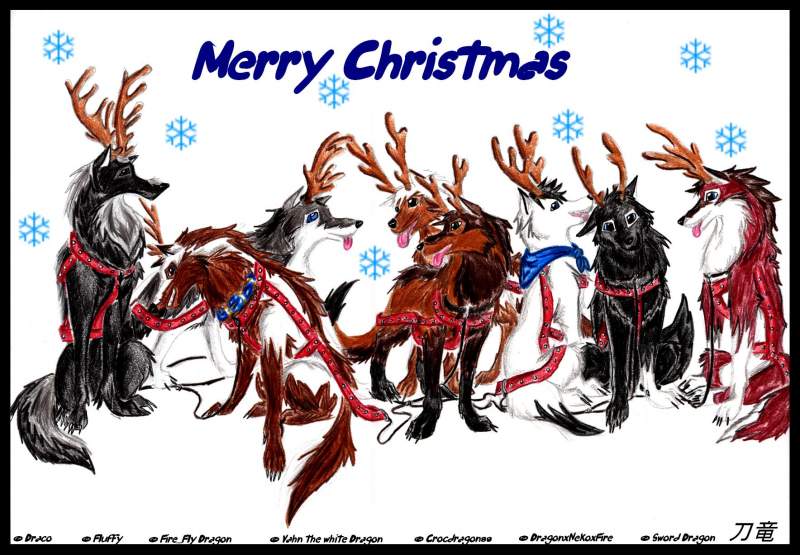 Who Need Reindeer ..... Merry Christmas