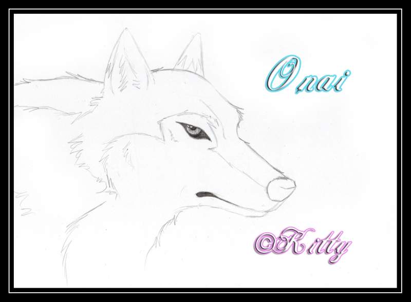 Onai Wolf's rain style