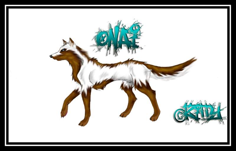 Onai .:Newer:.