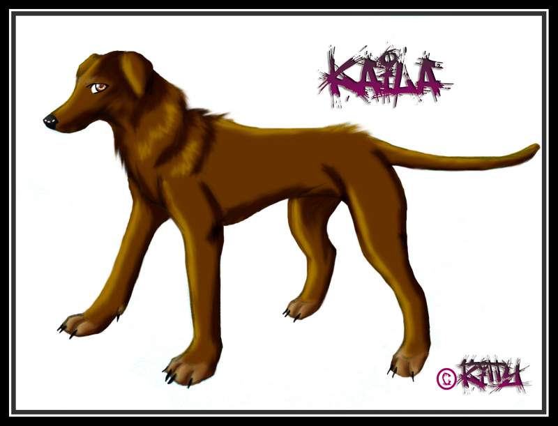For Catwhohas14tails contest ~ Kaila