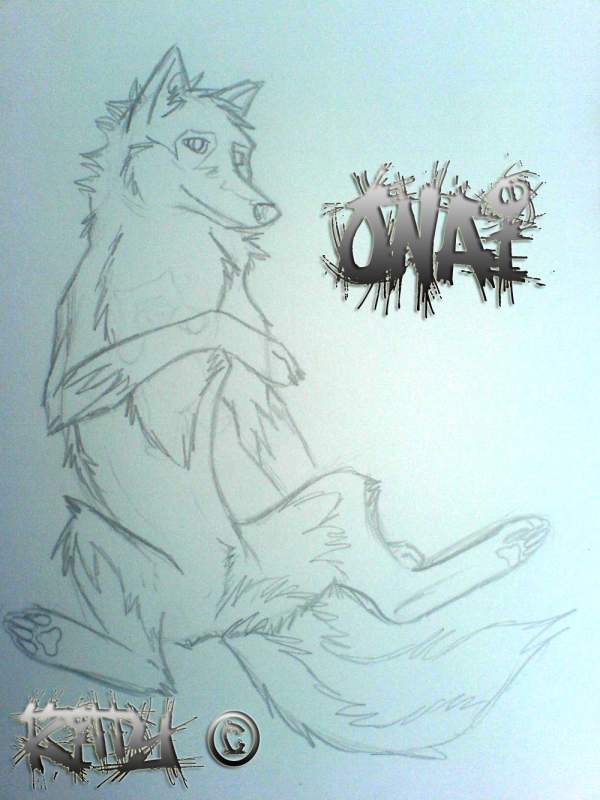 Fluffyness sketch