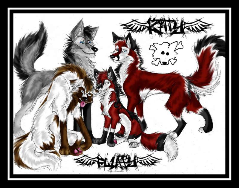 FluffyKitty COLLAB BABY