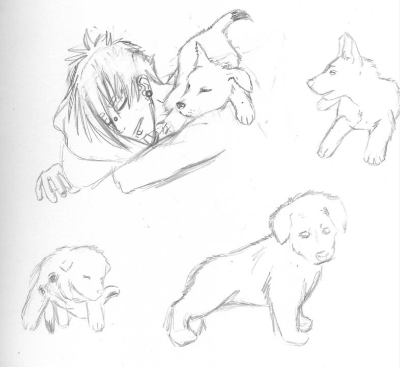 Puppy Dyppe