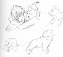 Puppy Dyppe