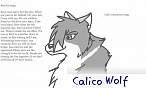 Calico Wolf