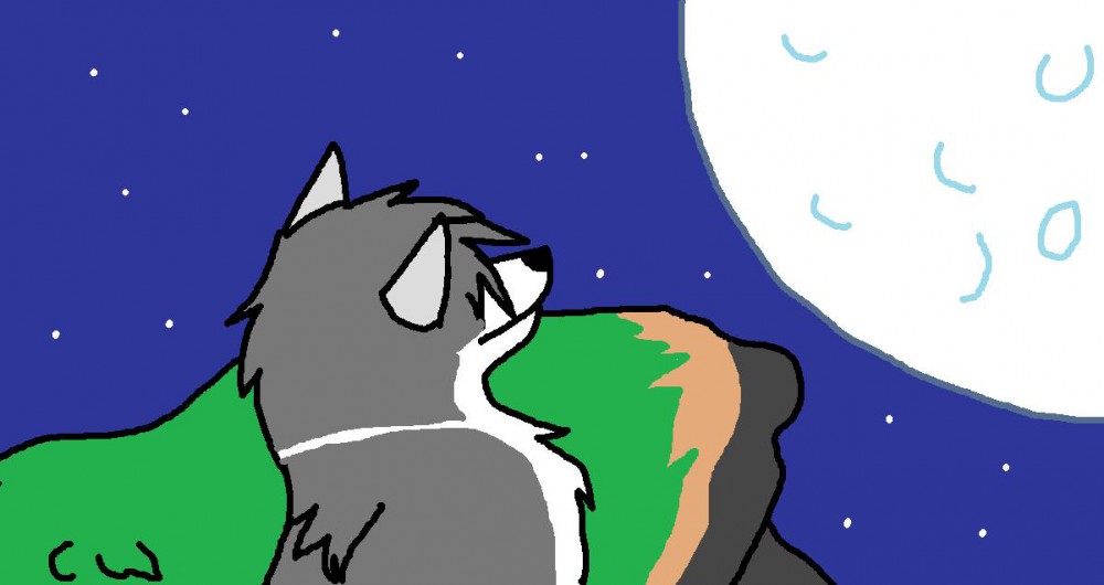 Moon is full