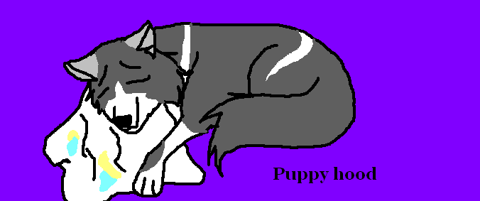 Puppy hood