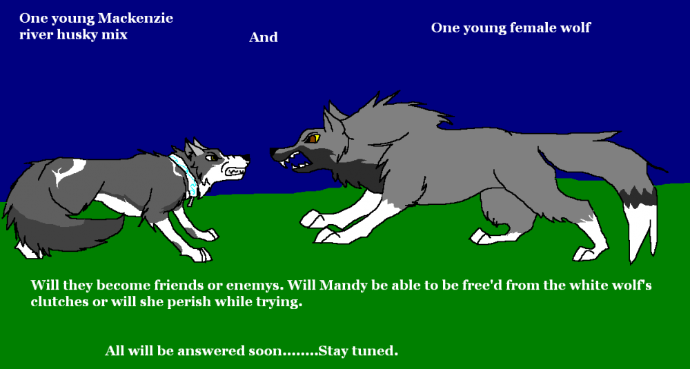 Friend or foe RP scene