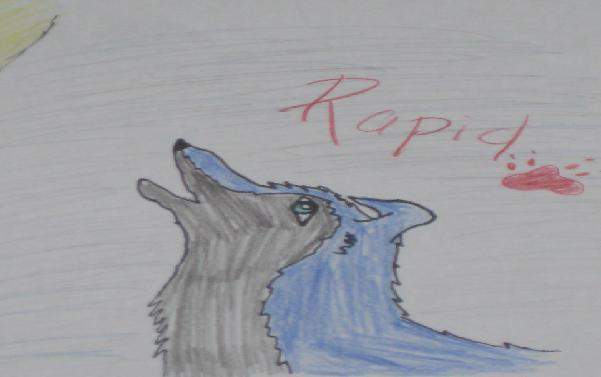 Rapid Howling