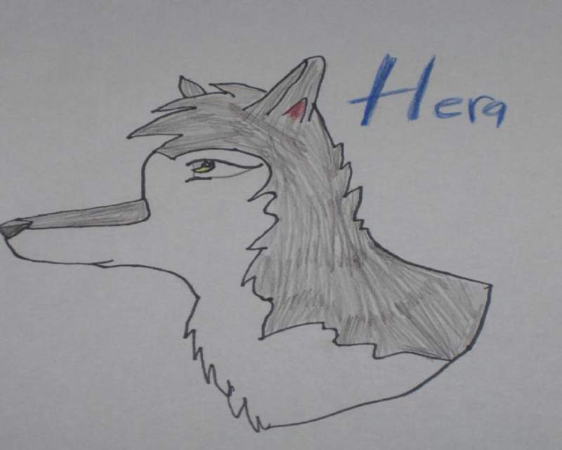 Hera