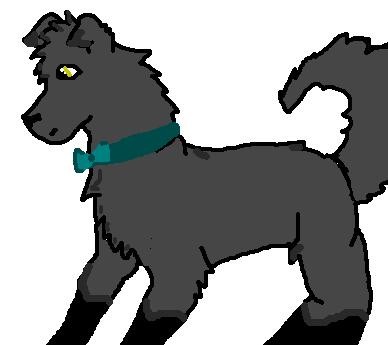 SHADOW!!!