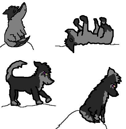 Mist and Fangs pups!