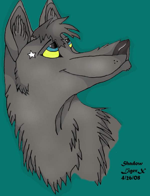 My chara shadow