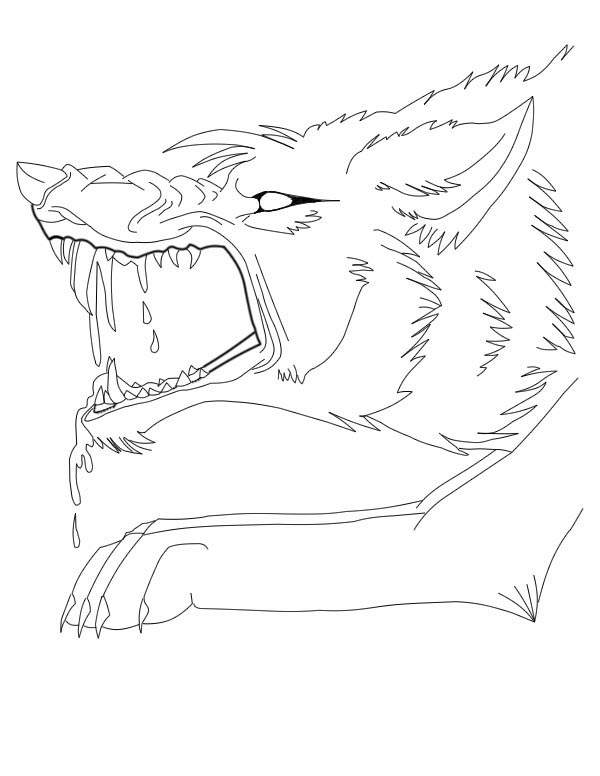 Lineart