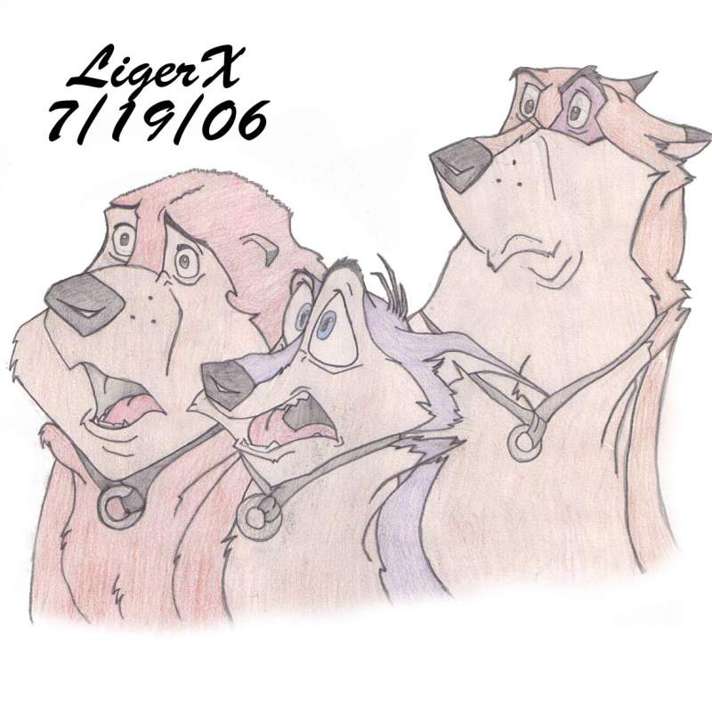 The Trio