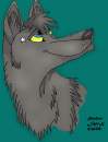 My chara shadow