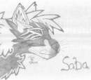 Saba