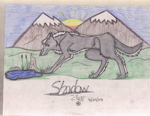 Shadow again 