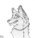 kero once more 