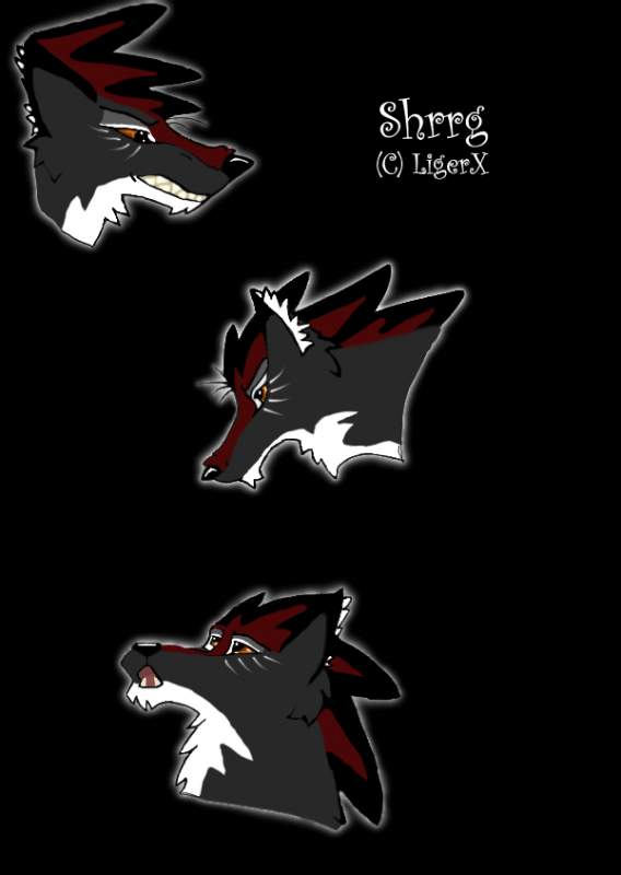 Shrrg face Expessions 