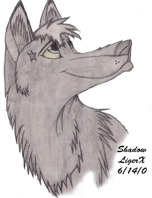 Shadow