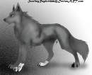  Male Wolf