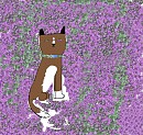 Anileu's Adoption Contest