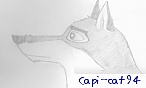 capi_cat94