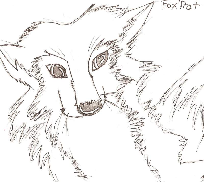 Foxtrot