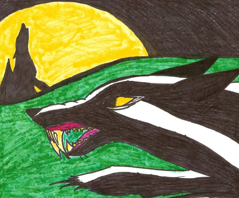badger