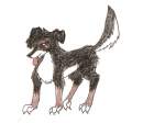 this is my dog Ally McBeagle