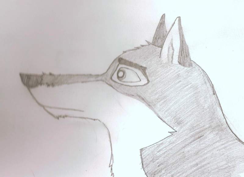 Balto