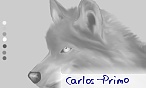 Carlos_Primo