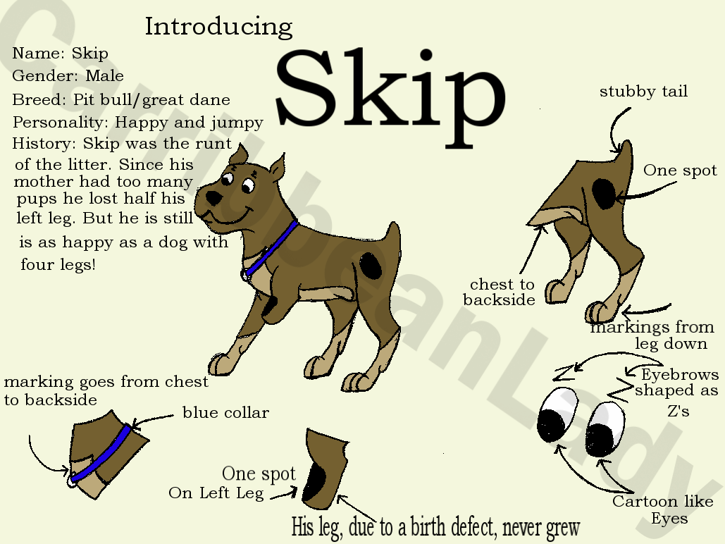 Skip: The Three Legged Dog