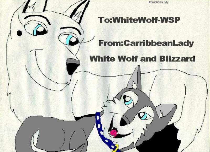 Whitewolf And Blizzard
