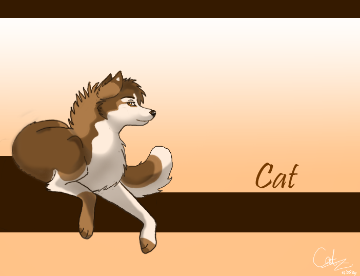 Character ref: Cat