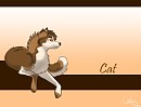 Character ref: Cat