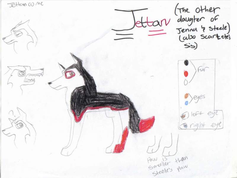 Jettan