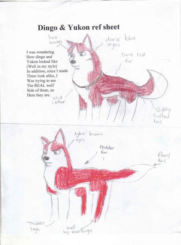 Dingo & Yukon ref sheet