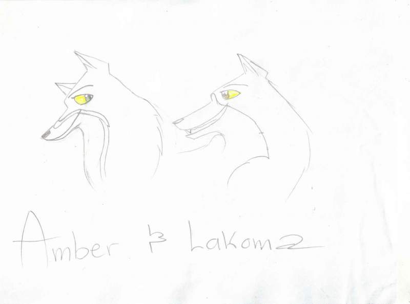 Wolf sisters