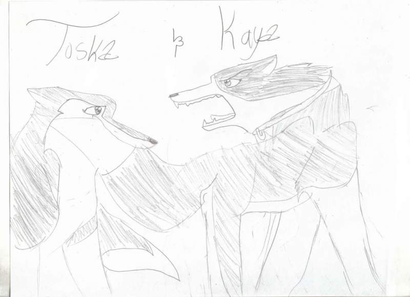 Kaya and toska