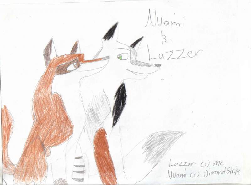 Nuami & Lazzer