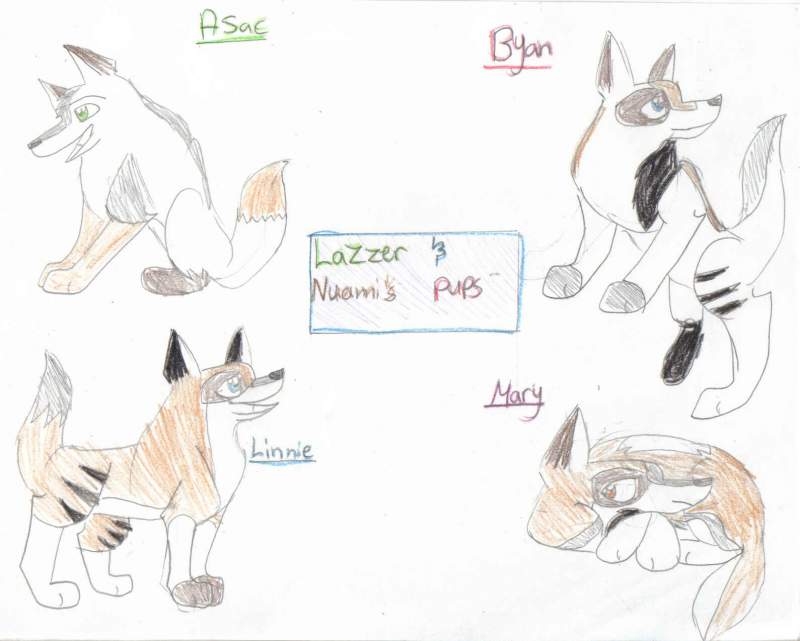 Lazzer's and Numai's pups