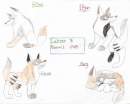 Lazzer's and Numai's pups