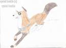 For Cystal huskie